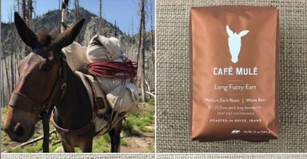 Only In Boise &#8211; Free Coffee Served From A Mule