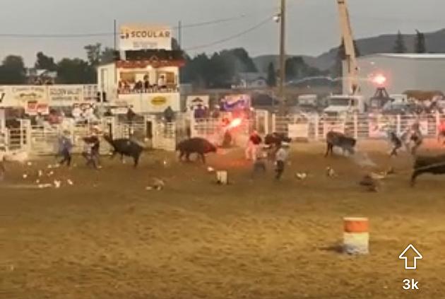 Controversial Idaho Rodeo Shoots Roman Candles at Cattle [Watch]
