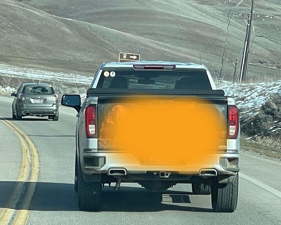 Spotted: This Infamous Idaho Tailgate Shocks Drivers