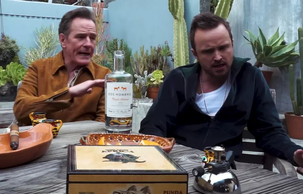 Aaron Paul, Bryan Cranston Announce Boise Meetup This Weekend