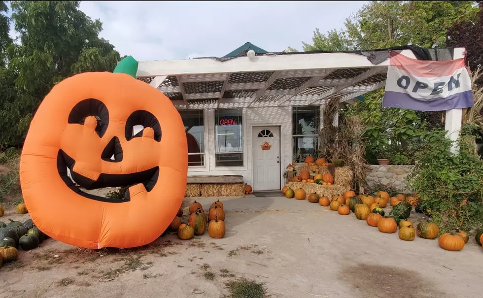 This Nampa Farm Offers Idaho’s Best Pumpkin Patch, Free Hay Rides