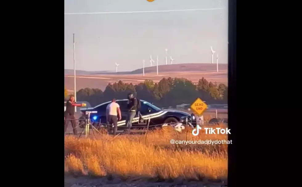 Electrifying Video Shows Idaho State Police Tasing Man on Road