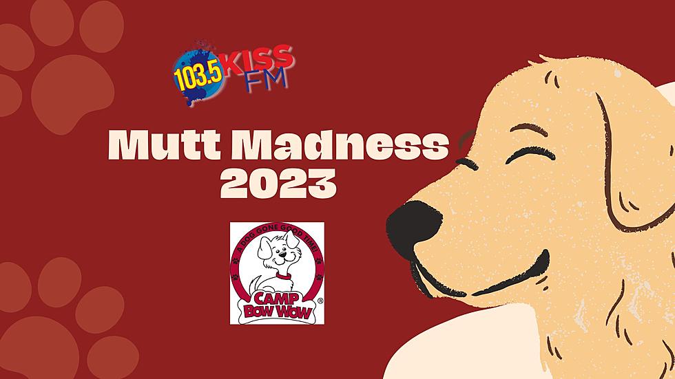 VOTE HERE: 103.5 KISS FM Mutt Madness