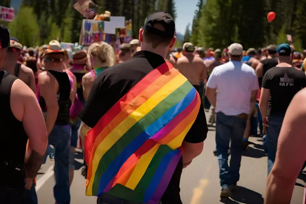 Unsure How To Celebrate Pride Month In Idaho? We Can Help!