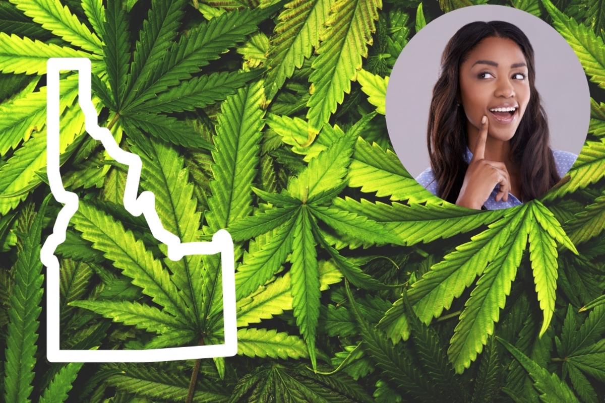Will Idaho Be The Next State To Legalize Cannabis?