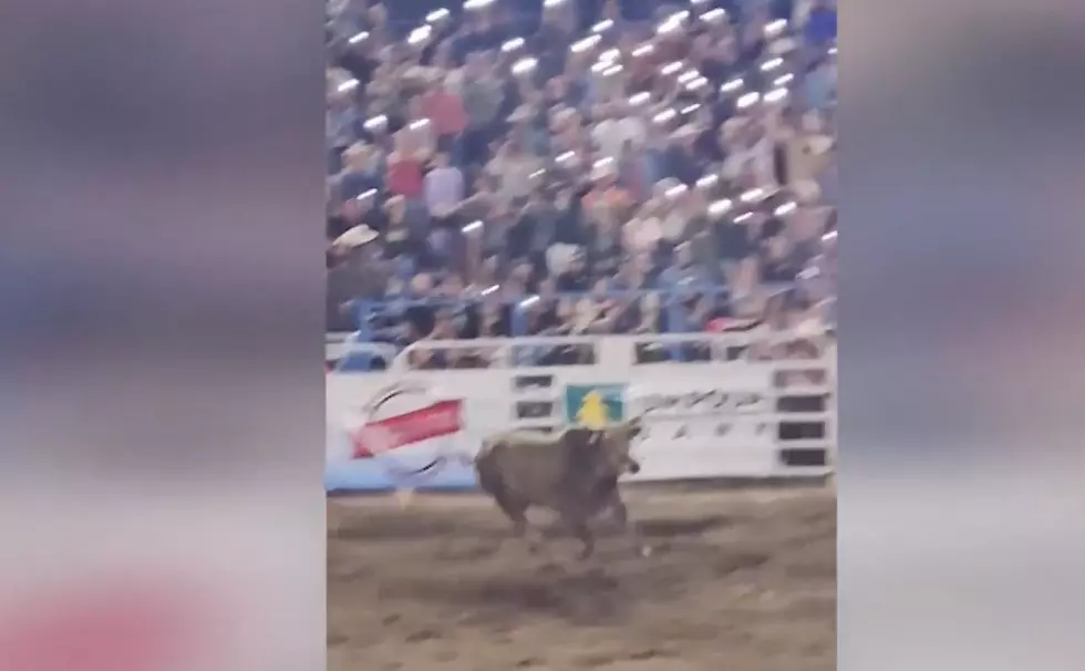 Wild Bull Attacks Rodeo Crowd Just Hours From Boise [Video]