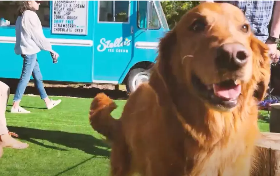 Boise’s Green Acres Is Hosting a Party for Dogs, Golf & Beer