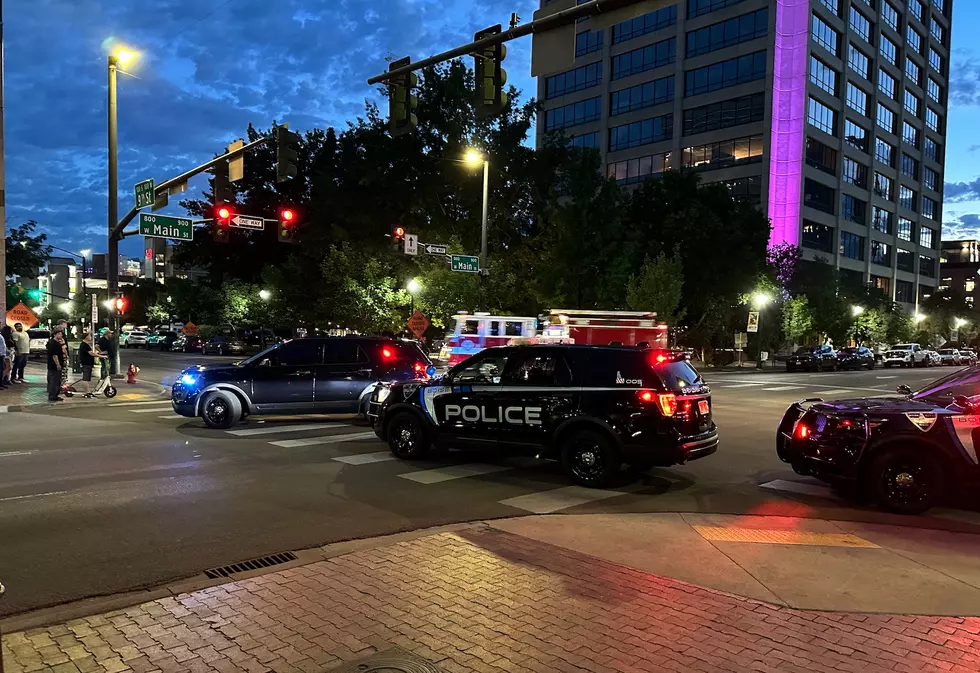 Arrest Made Following Terrifying Downtown Boise Hit & Runs