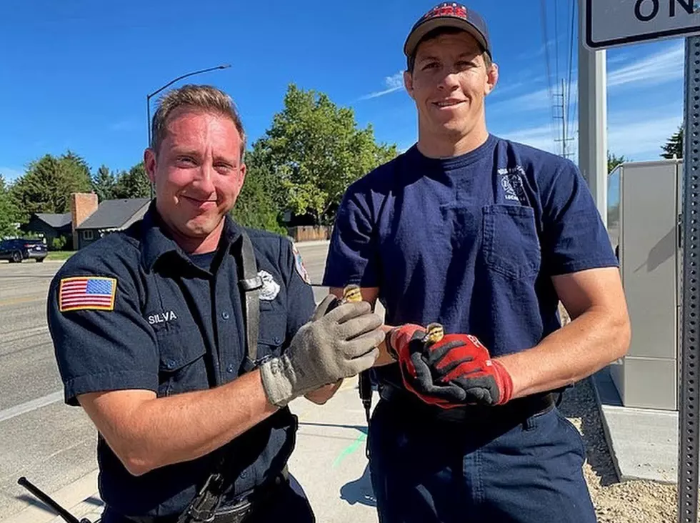 Adorable & ‘Unusual’ Rescue by Boise Firemen Melt Hearts Online