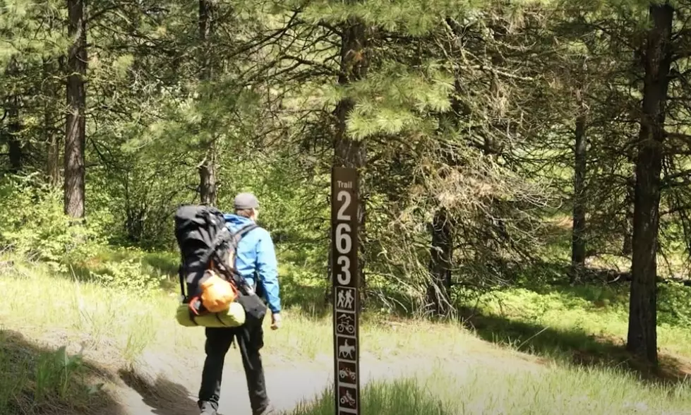 6 Idaho Hikes You Need To Experience This Spring