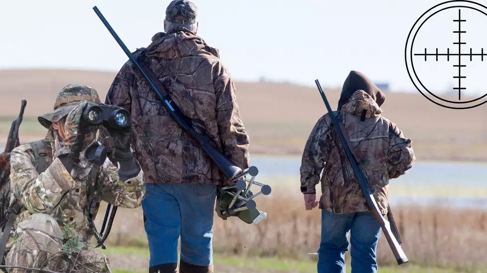 Four Animals That You Can Hunt Year Round In Idaho
