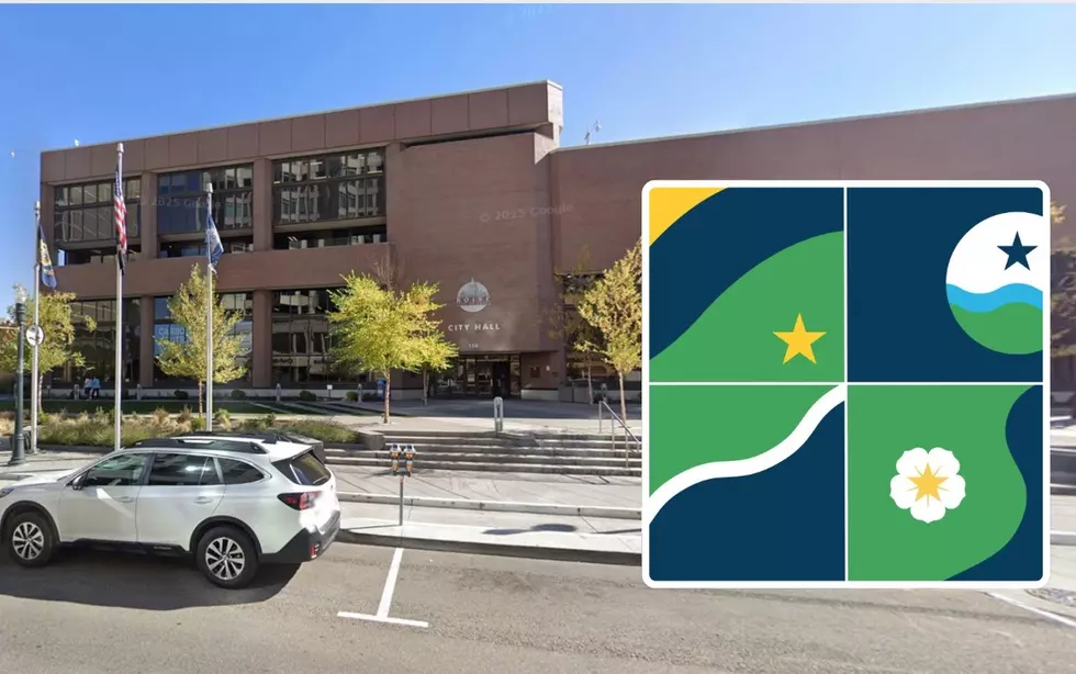 Online Petition Blows Up Over ‘Embarrassing’ Boise Flag Designs