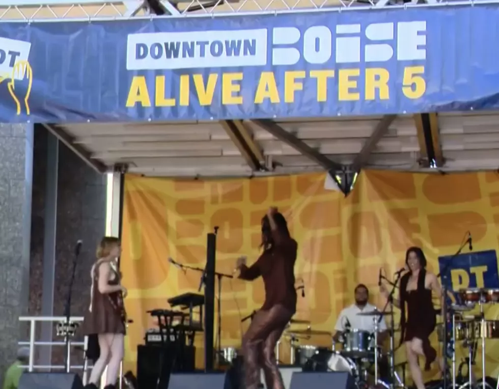 Free Boise Summer Concert Series Returns For 2026