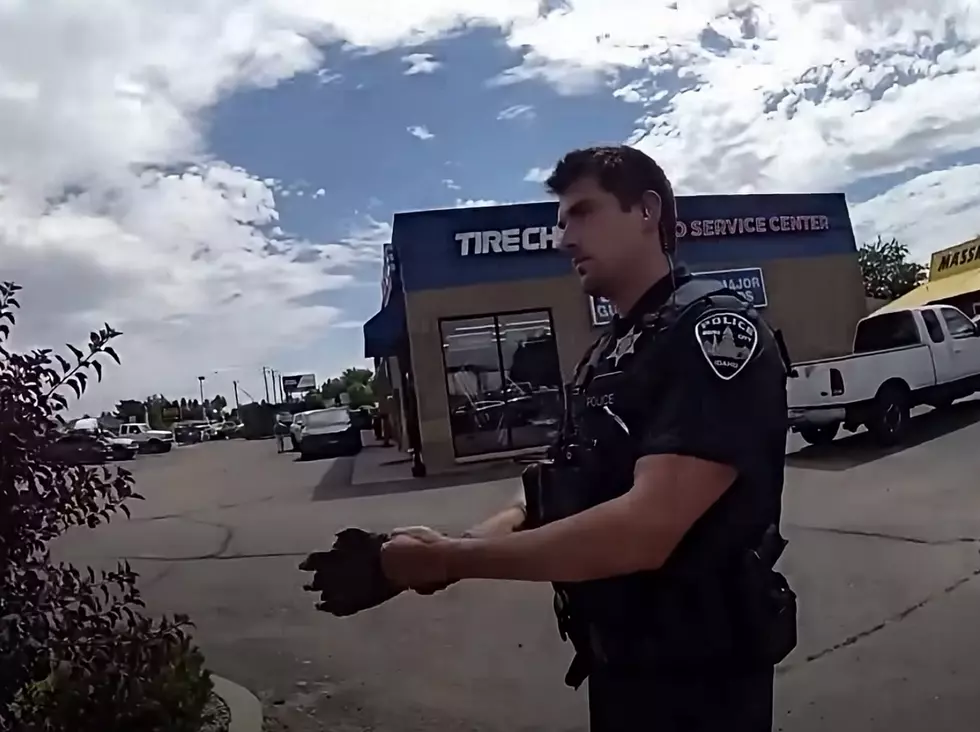 Boise Police Respond, Update Public on ‘Bizarre’ Viral Car Crash