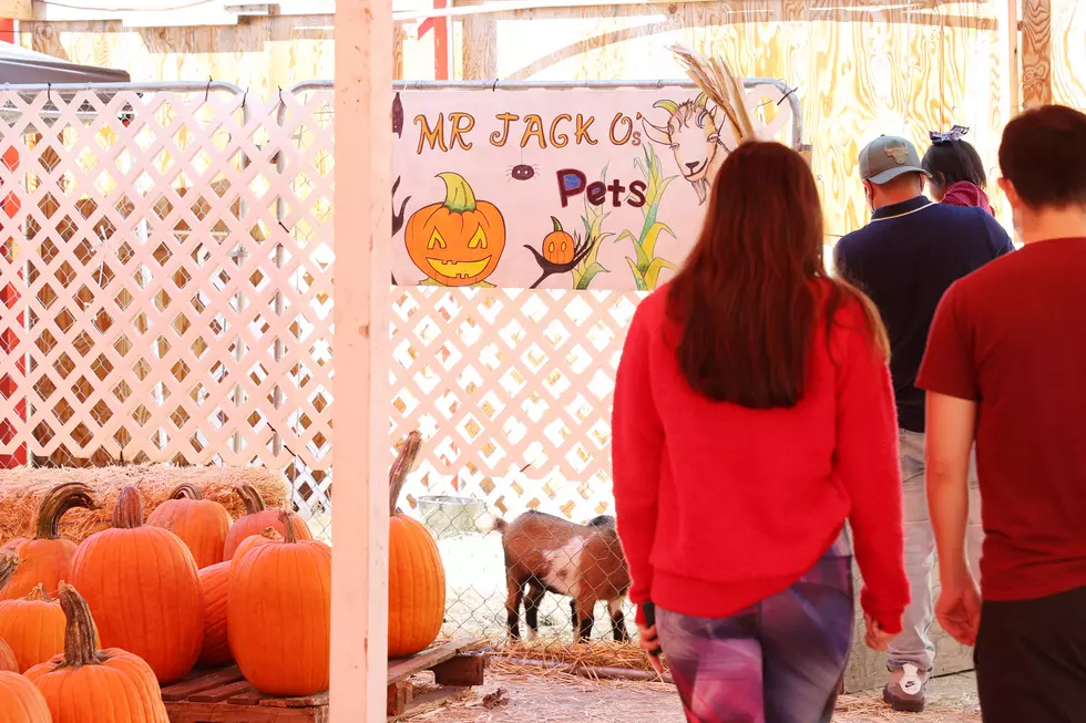 The Best Fall Date Night Ideas in Boise