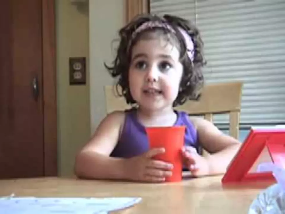 3 Year Old Explains Star Wars in Under a Minute [VIDEO]