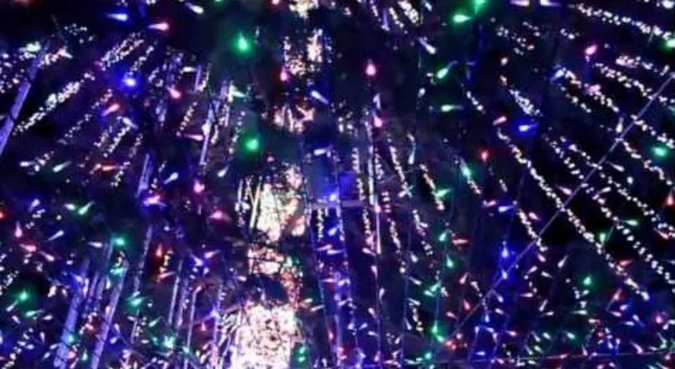 331,038 Christmas Light Display New Guiness World Record [VIDEO]