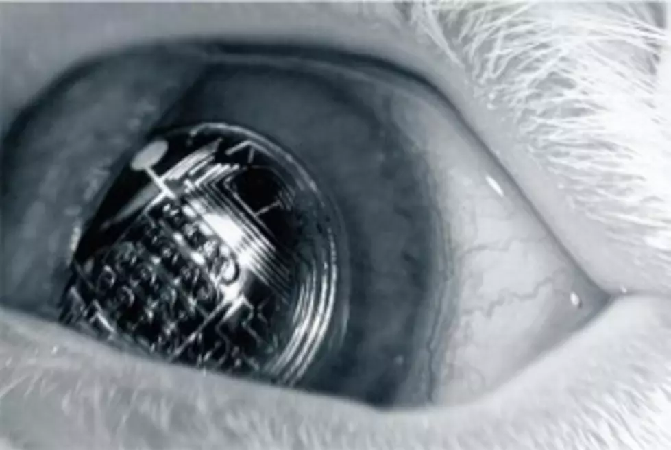 Electronic Contact Lenses &#8211; Would You Wear Them?