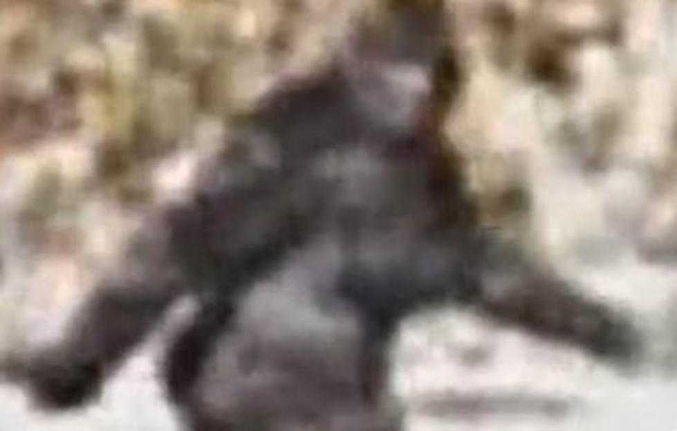 Show Offers $10-Million To The Person Who Finds Bigfoot
