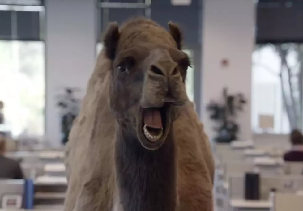 A camel in a geico ad asks,"Mike mike mike mike, what day is IT?"...