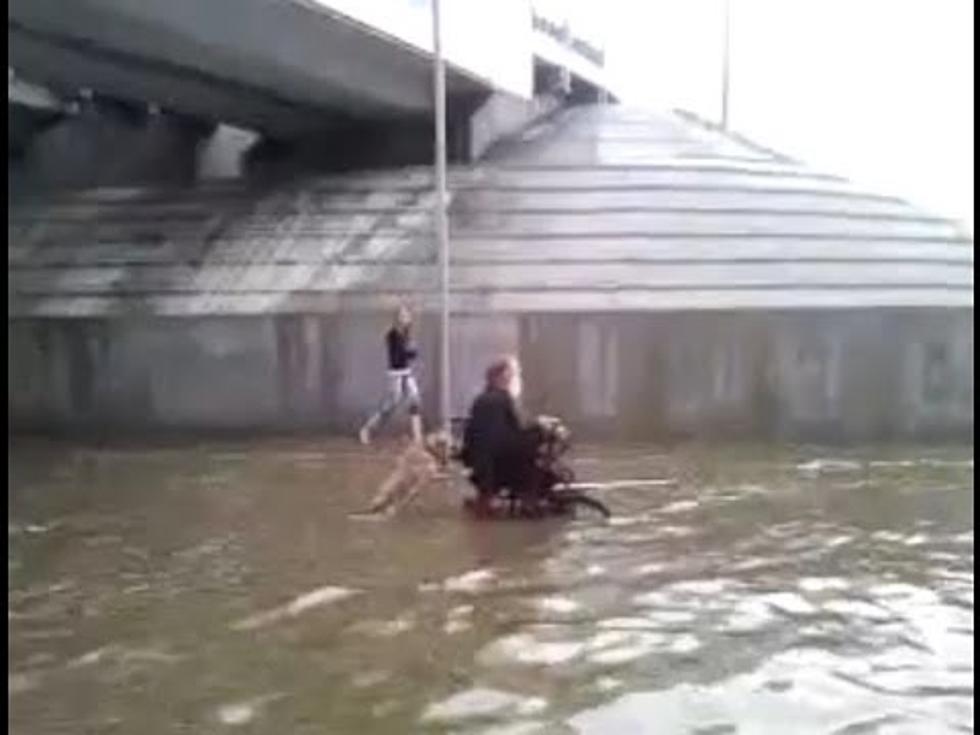 Daily Cuteness &#8211; Dog Pushes Owner&#8217;s Wheelchair Through Flood