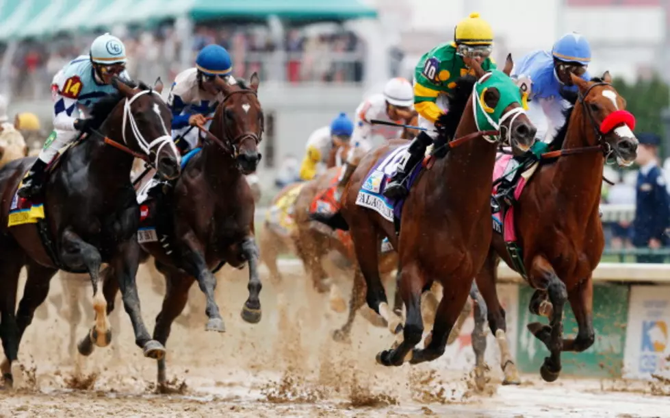 Online Name Generator Reveals Your Kentucky Derby Horse Name