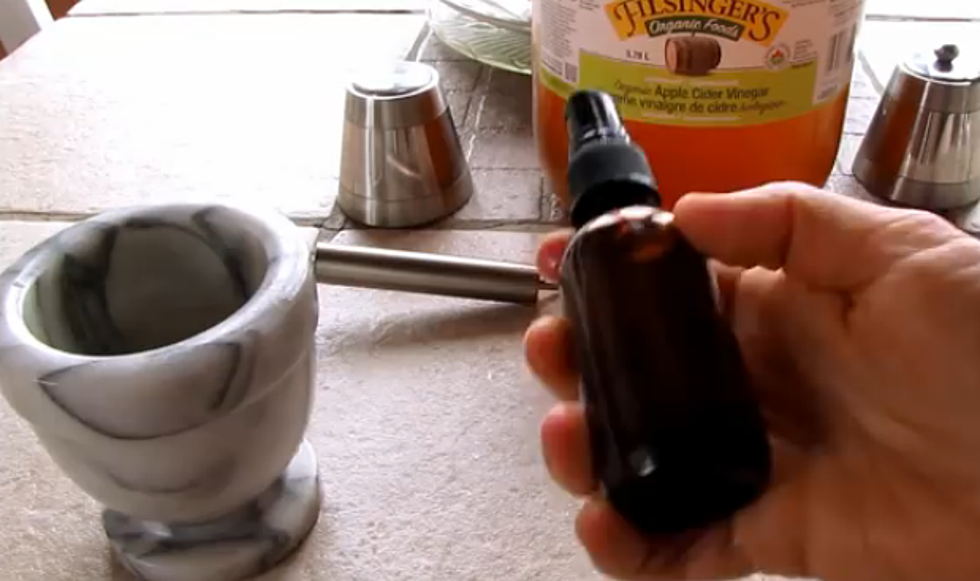 How to Make Homemade Mosquito Repellent