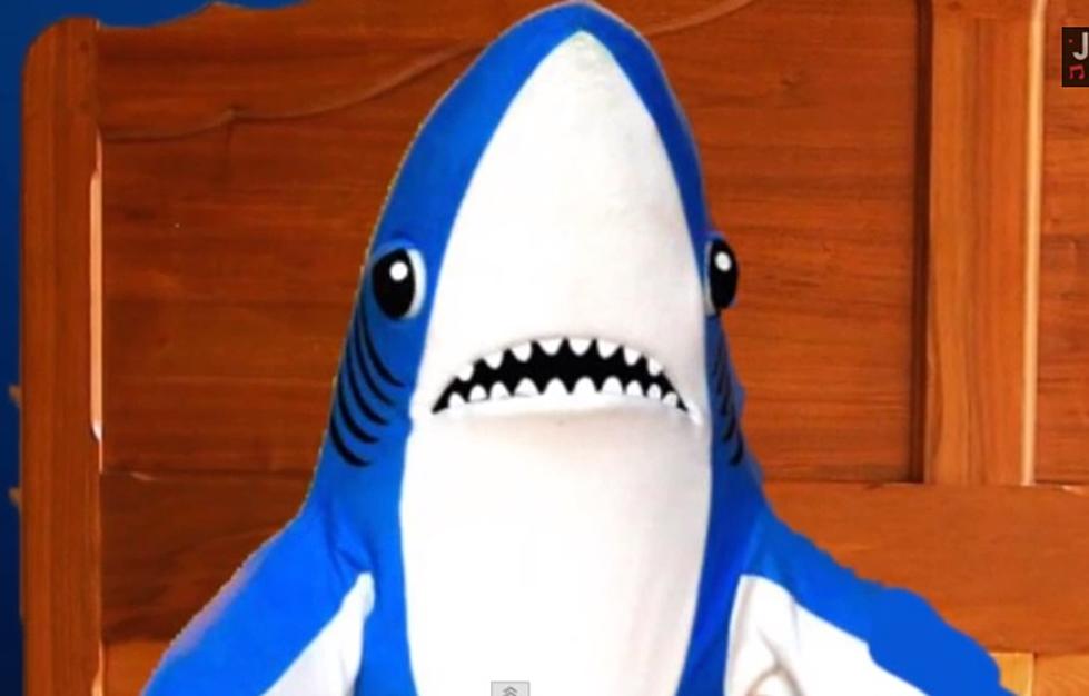 What Happened to Left Shark After Katy Perry&#8217;s Halftime Show? [VIDEO]