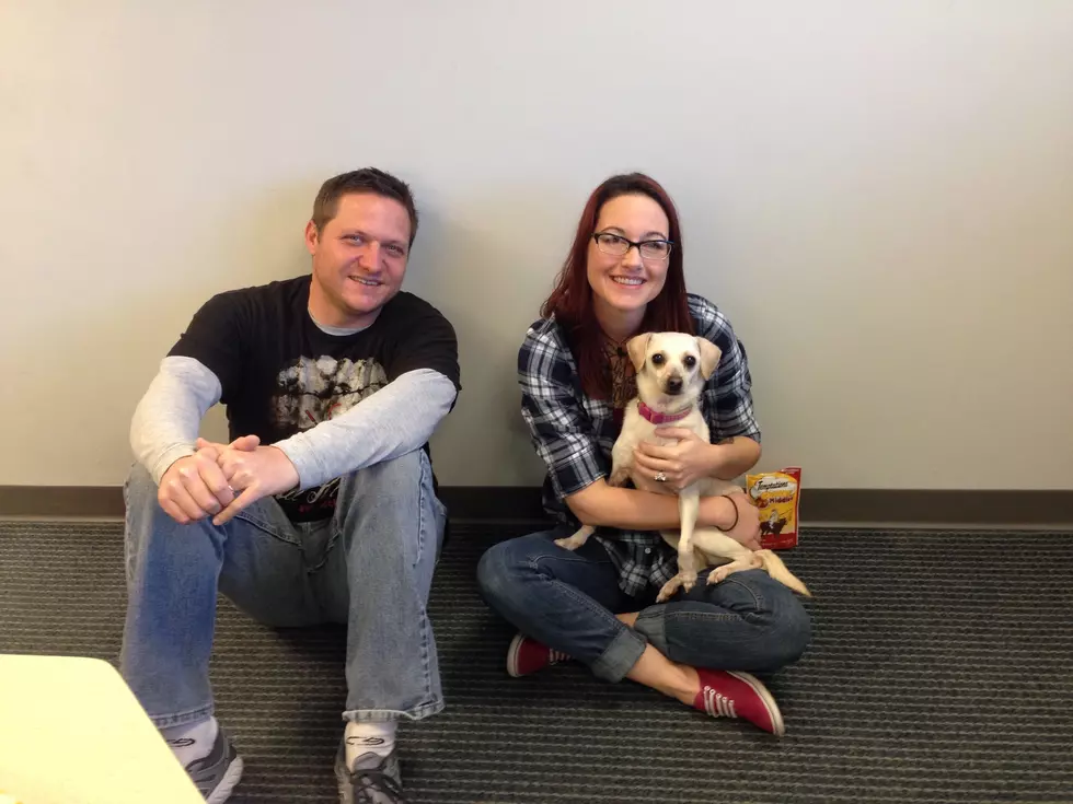 Warrick Humane Society Adoptable Pet of the Week &#8211; Macy