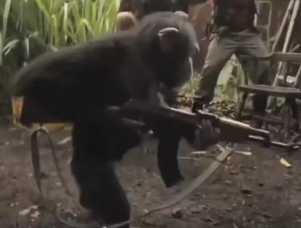 How Planet of the Apes REALLY Started!