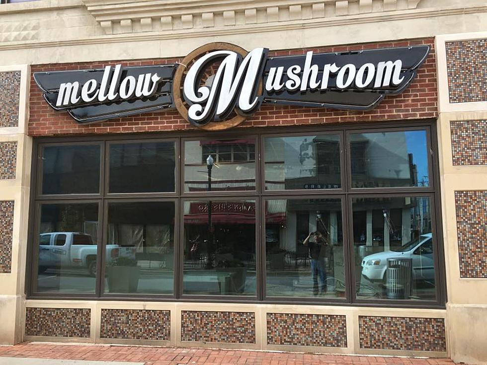 The Mellow Mushroom Owensboro Location Announces Opening Date