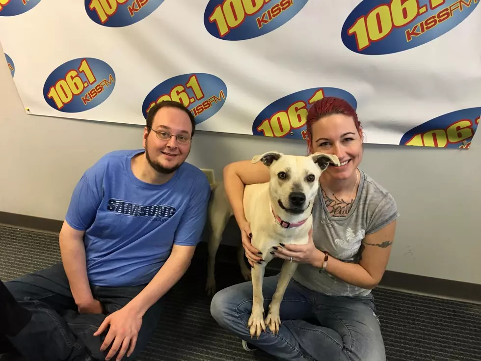 Warrick Humane Society Adoptable Pet of the Week &#8211; Jodi