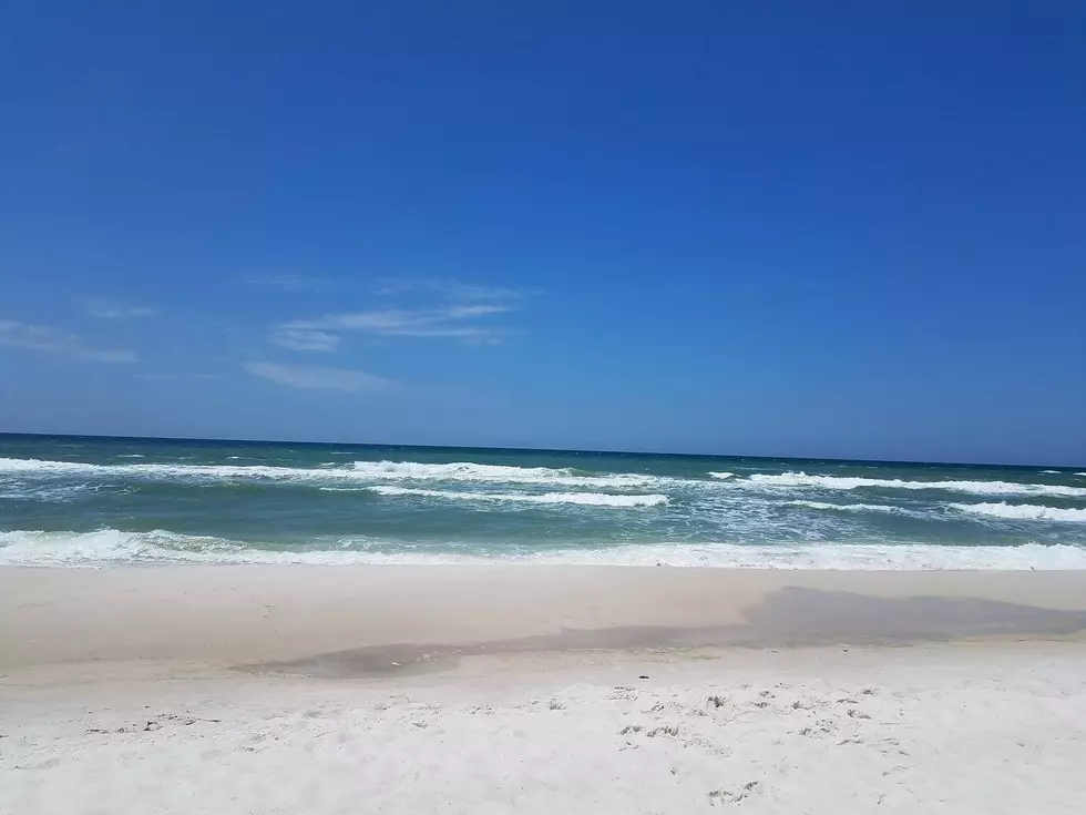 Water So Calm on the Emerald Coast You Can See Little Fish [VIDEO]