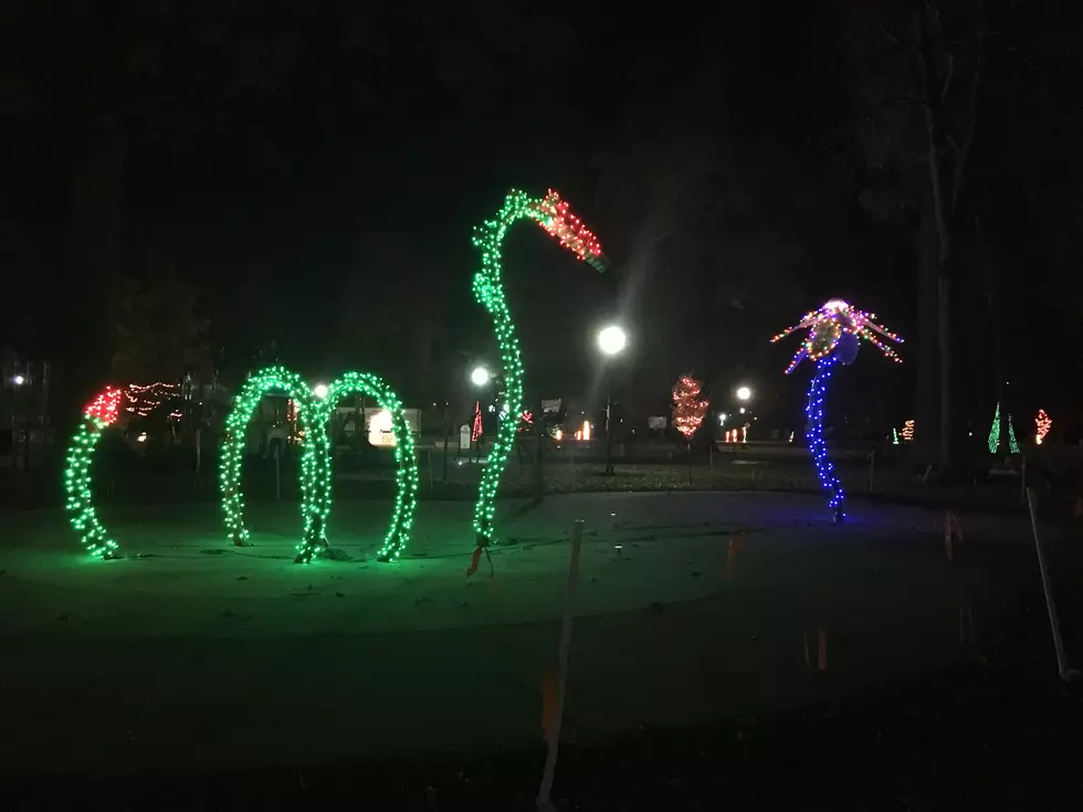 Go See the Christmas Lights