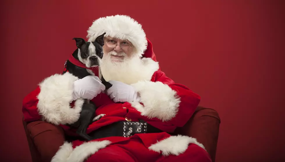 Vanderburgh Humane Hosting Pet Pictures with Santa This Weekend