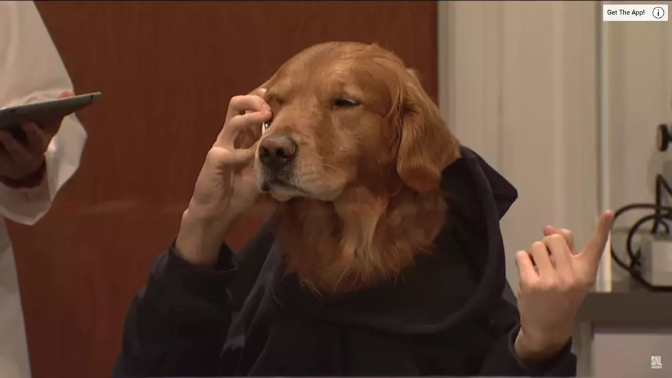 Check Out This Human/Dog Hybrid [SNL Rewind]
