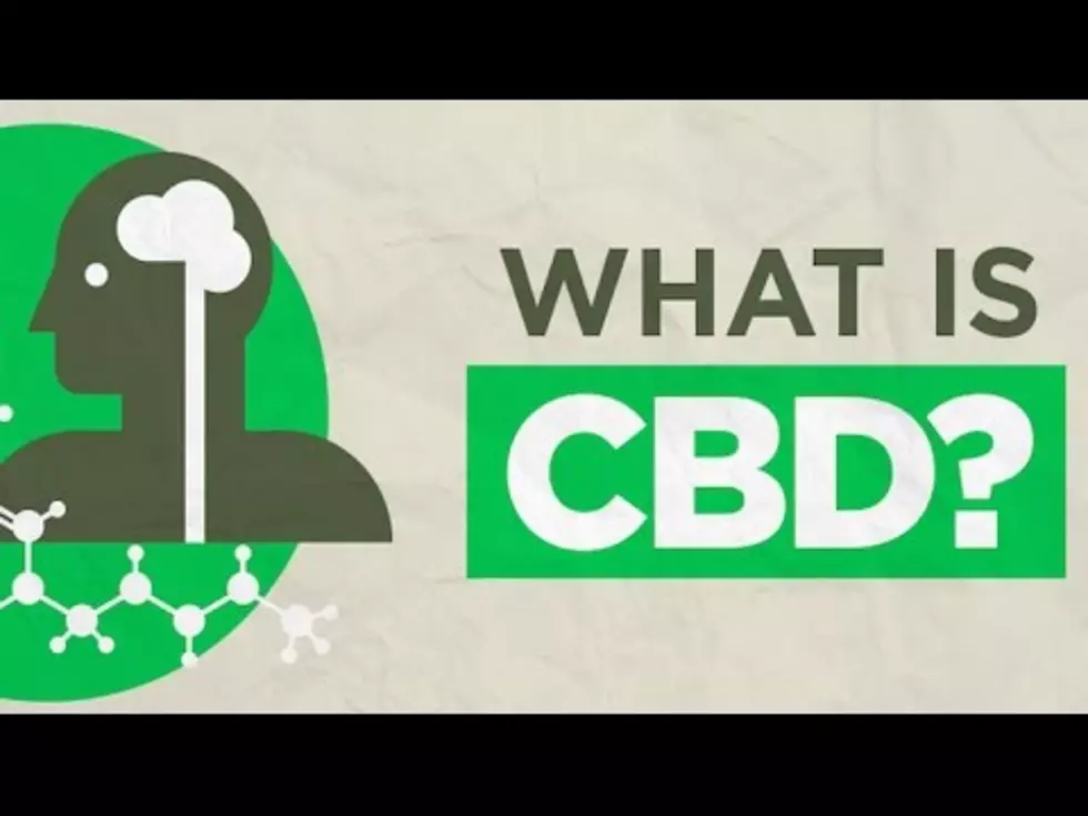 Why Is Everyone In The Tri-State Talking About CBD Oil And What Is It?