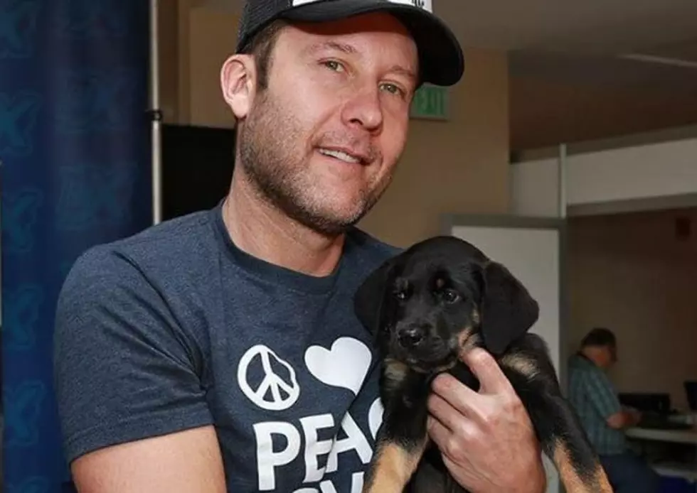 Michael Rosenbaum Adopted a Puppy, and Jason Momoa Helped Sort of [Pics]