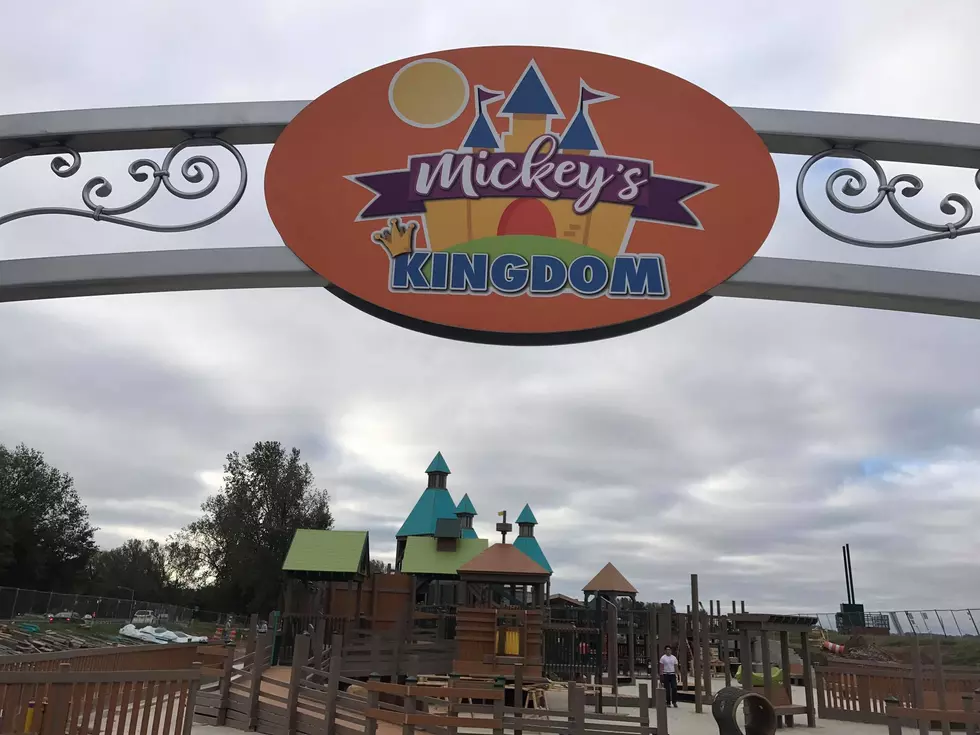 Volunteers Needed to Work on the Punch List at Mickey&#8217;s Kingdom Playground