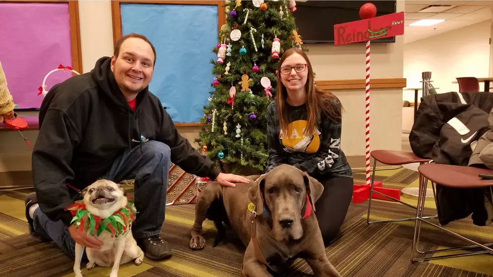 Check Out the Paws and Relax Dogs at Ivy Tech