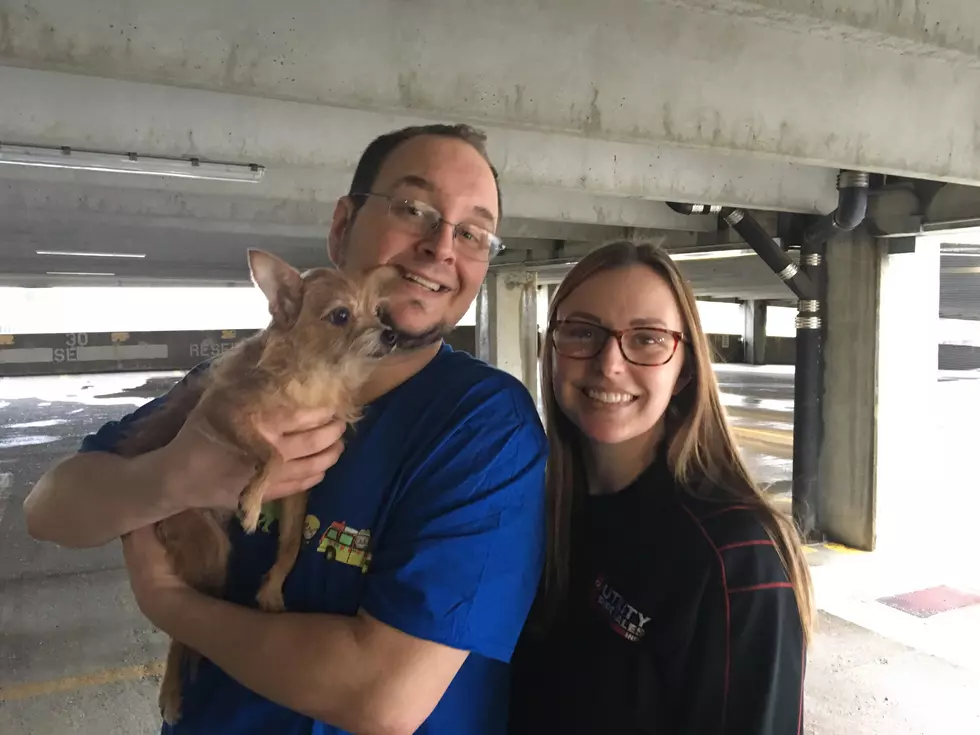 Warrick Humane Society Adoptable Pet of the Week – Sadie