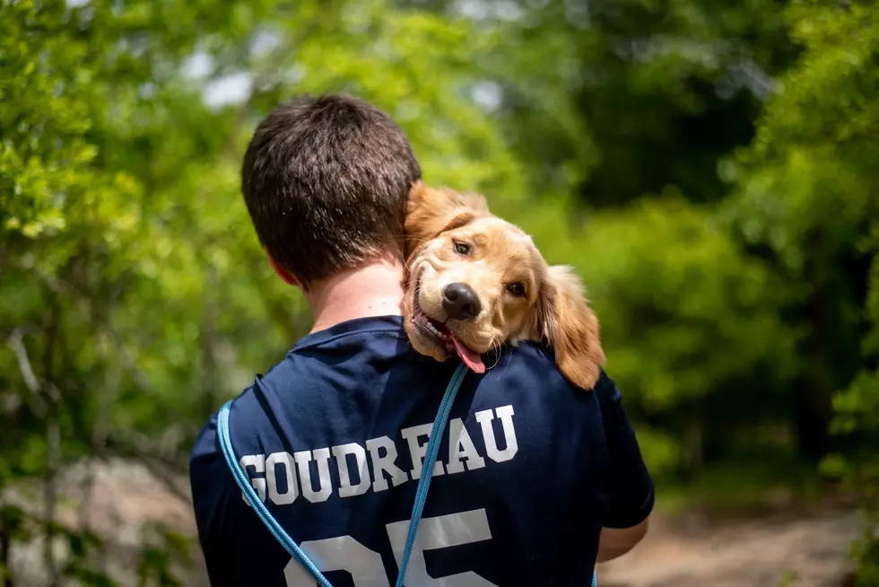 Forget Hiking! This Smiley Evansville Puppy Gets Carried Thru Garden of the Gods ♥