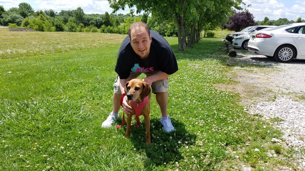 Lilly Dawn Has Been at the Warrick Humane Society for 167 Days