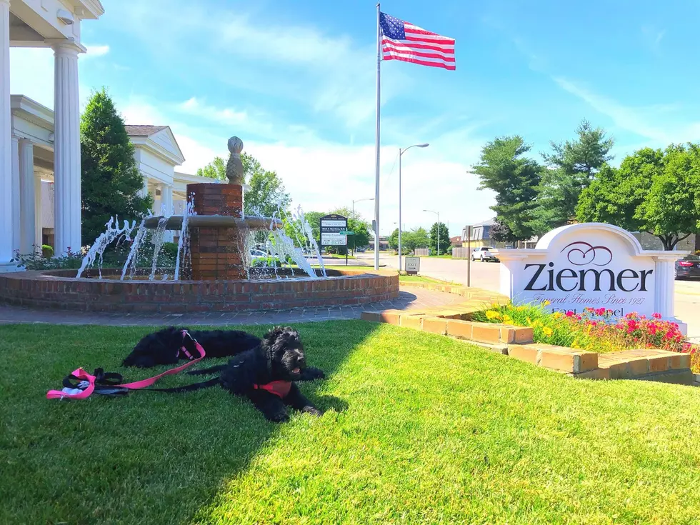 Local Funeral Home To Employ Therapy Dogs