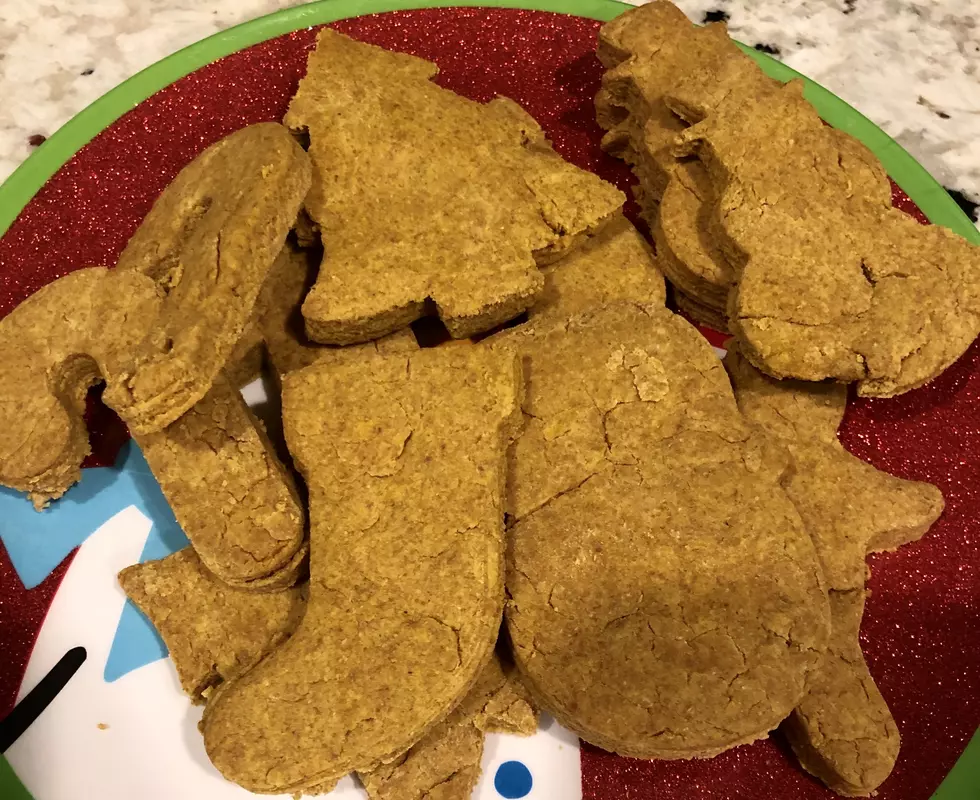 Easy 3 Ingredient Dog Christmas Cookie Recipe