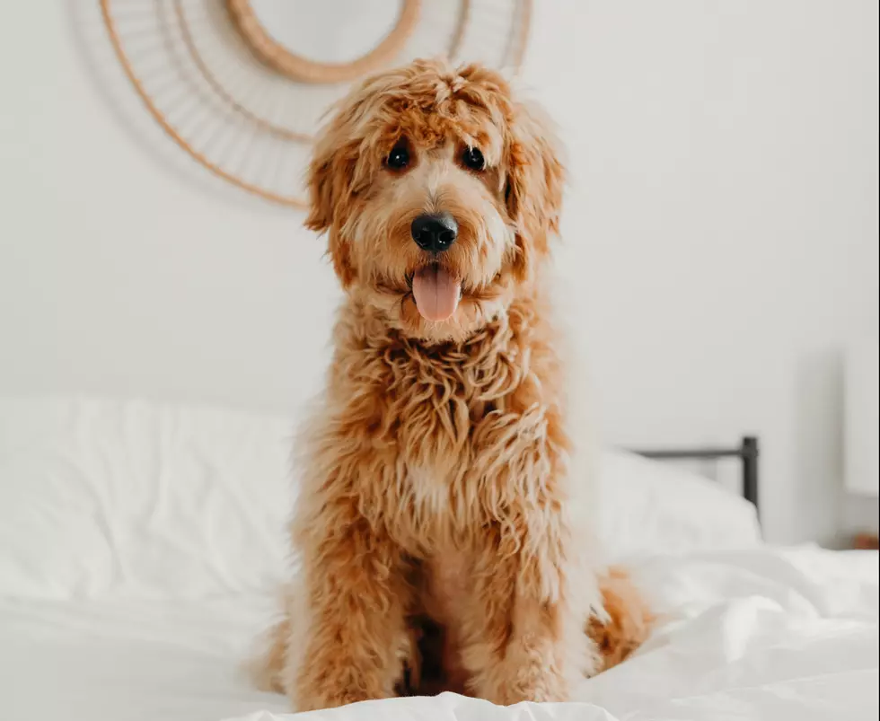Photo by Brooke Cagle on Unsplash