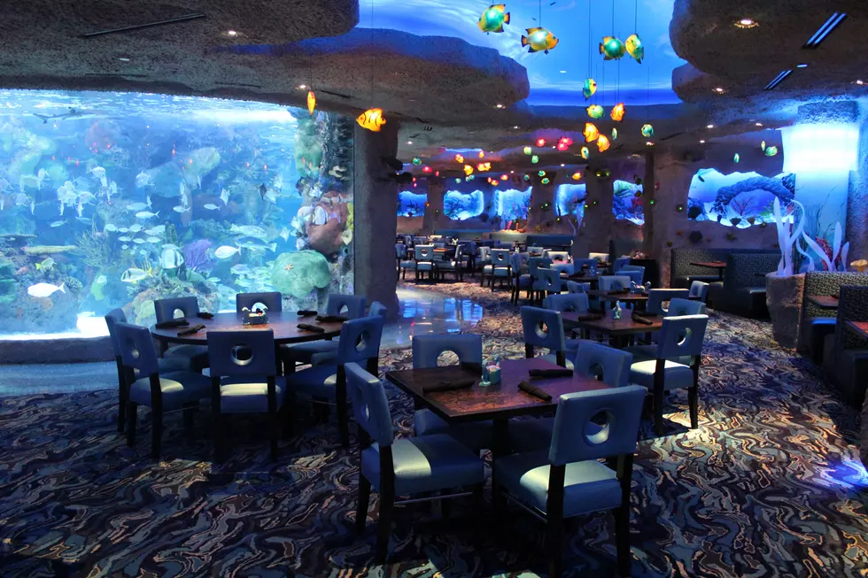 Dine with the Fishes at this Aquarium Restaurant in Tennessee