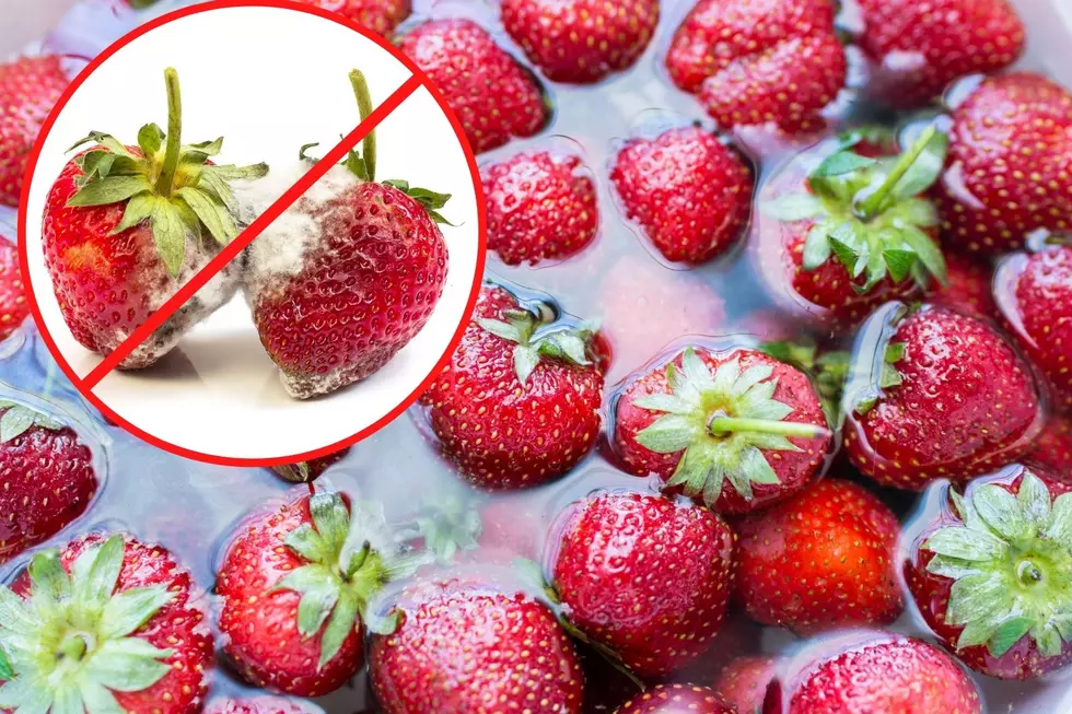 How to Stop Your Fresh Produce from Quickly Going Bad