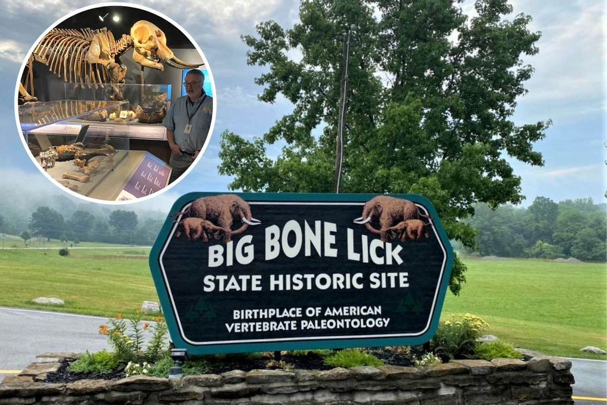 The Birthplace Of American Paleontology Is Big Bone Lick In KY the-birthplace-of-american-paleontology-is-big-bone-lick-in-ky