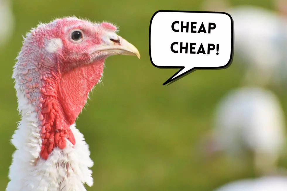 Where to Find the Cheapest Thanksgiving Turkey in the Tri-State